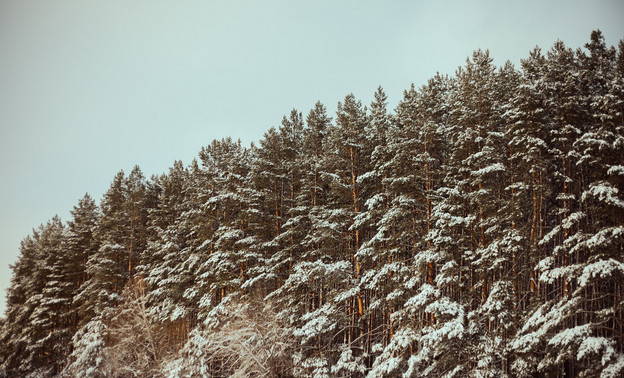 Синоптик предупредил о крещенских морозах в России