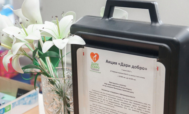 В Кирове пройдёт благотворительная акция в помощь бездомным собакам и кошкам