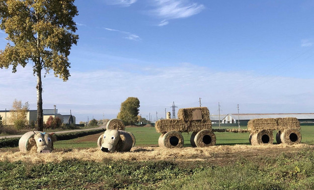 Настоящая фотозона: в Зуевском районе местная агрофирма сделала необычные арт-объекты из спрессованной соломы