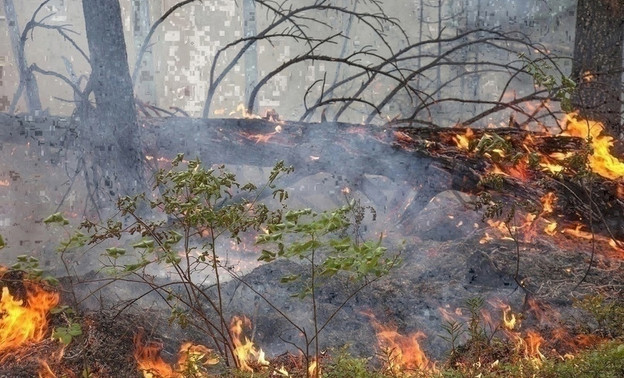 В лесах Слободского района произошёл пожар