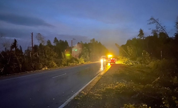 В Кировской области из-за грозы 8 населённых пунктов остались без электричества