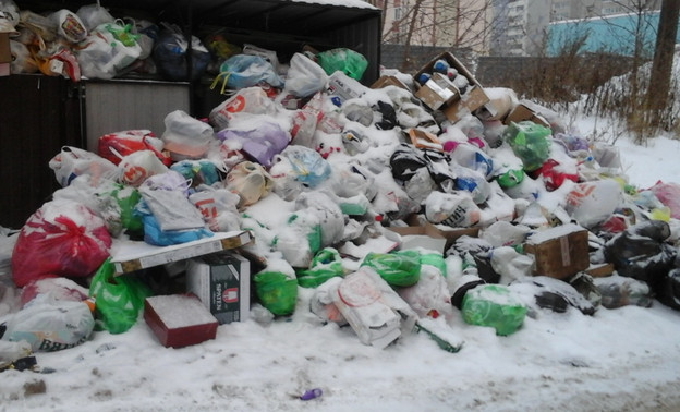 «Девятые сутки над мусором птицы»: кировчане продолжают сообщать о переполненных контейнерах