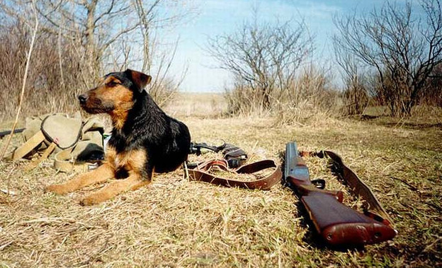 В Кировской области подвели итоги весенней охоты