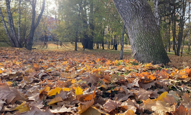 Погода в Кирове 6 октября. Днём солнечно и до +10
