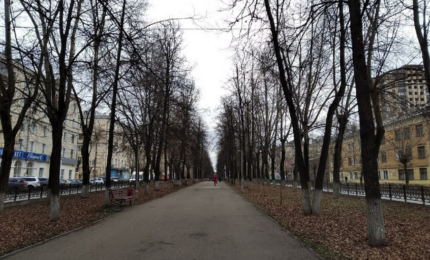 Погода в Кирове. В выходные похолодает до -3 градусов