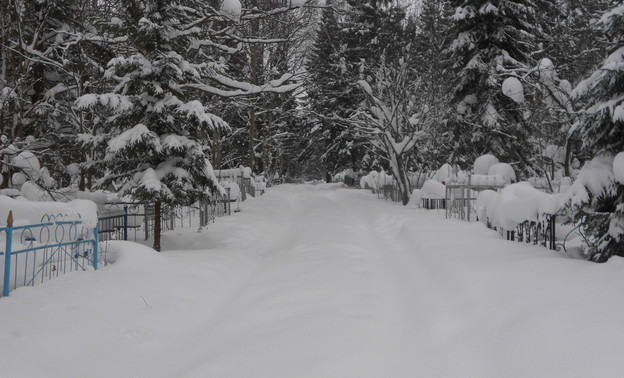 «Возим покойников на санках». Кировчане жалуются на заваленные снегом кладбища