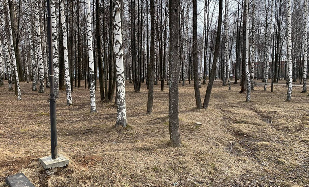 В апреле в Кирове пройдут два общегородских субботника