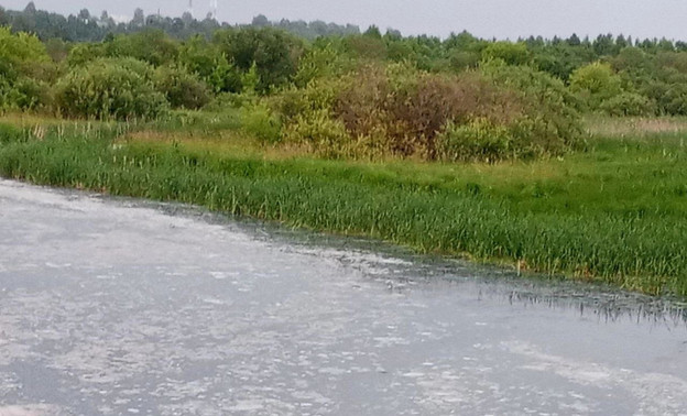 В Кумёнском районе загрязнили реку Быстрицу