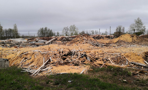 Два крупных деревообрабатывающих предприятия области причинили ущерб природе на 100 миллионов рублей