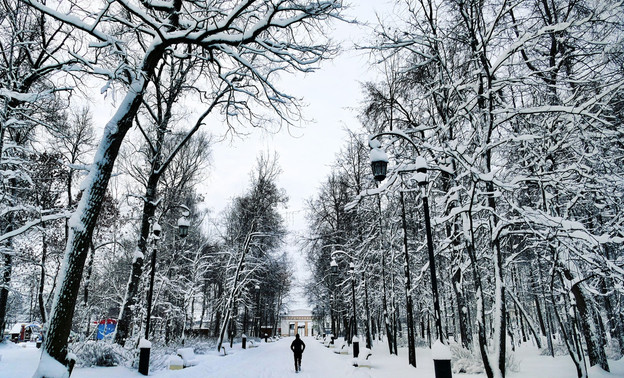 Погода в Кирове. В пятницу снегопад прекратится
