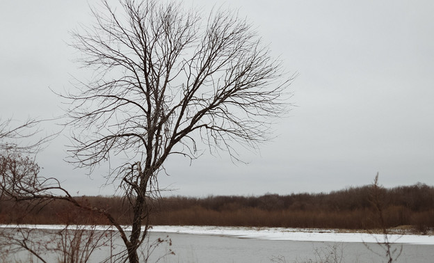 Прогноз погоды в Кирове на неделю: переменчивая осенняя погода