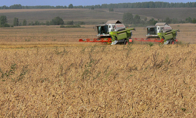 В Кировской области аграрное производство выросло на 30 %