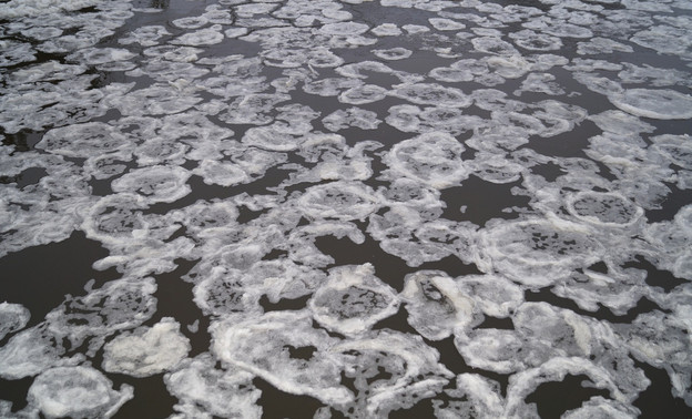 Жители Кировской области сфотографировали блинчатый лёд