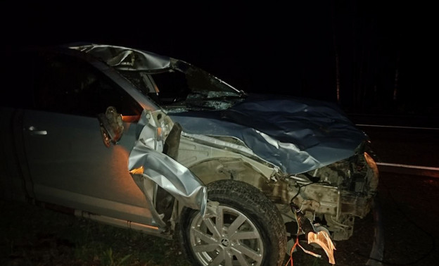 В Кировской области водитель иномарки насмерть сбил лося
