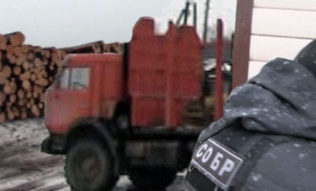 В Кировской области бойцы СОБРа повязали «черных лесорубов». ВИДЕО