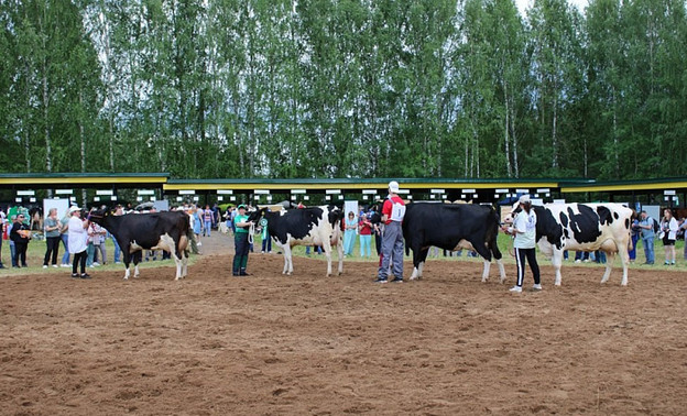 В Кирове организуют выставку племенных животных