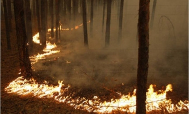 Из-за жары в регионе вырос риск лесных пожаров