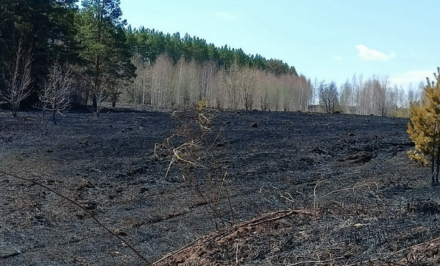 14 и 15 июля в Кировской области ожидается пожарная опасность четвёртого класса