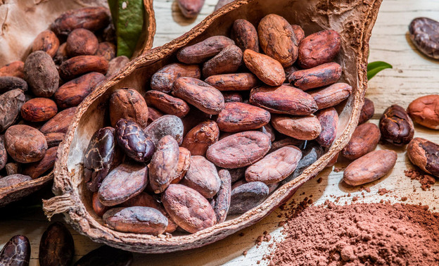 Учёные доказали, что употребление какао полезно для сердечно-сосудистой системы
