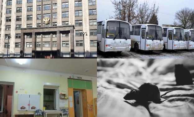 Итоги дня 19 ноября: 28 миллиардов для Кировской области и голодные крысы на полигоне в Лубягино