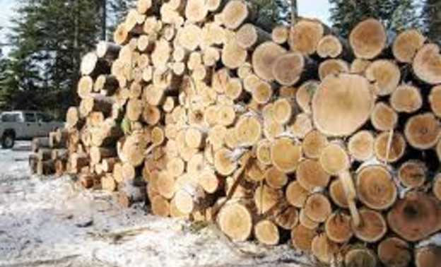 126 многодетных семей области получили древесину для строительства домов