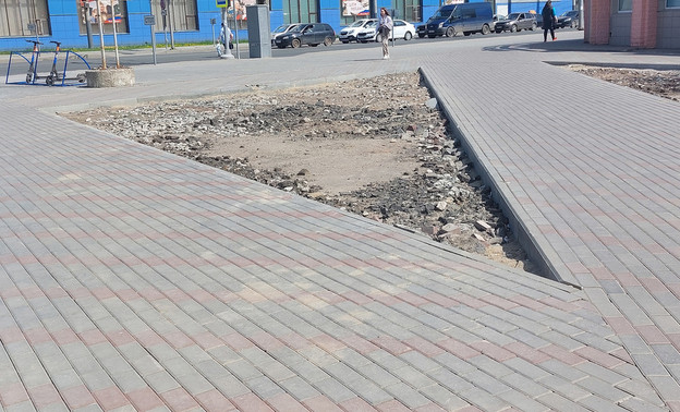 На площади Лепсе в Кирове реализуют проект по озеленению