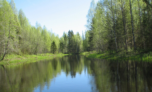 Национальный парк «Вятка» в Кировской области создадут в 2022 году