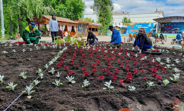 В Александровском саду создают клумбу и высаживают живую изгородь