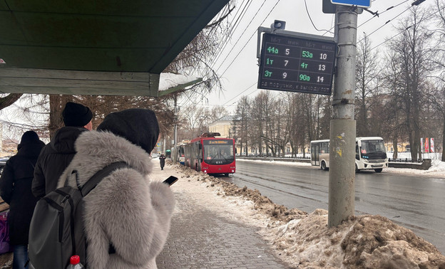 Автобус в Чистые пруды, олени из Белгорода и реабилитационный центр. Главное за 12 марта