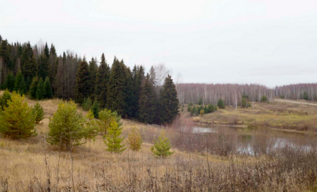 В 2026 году майские праздники продлятся шесть дней