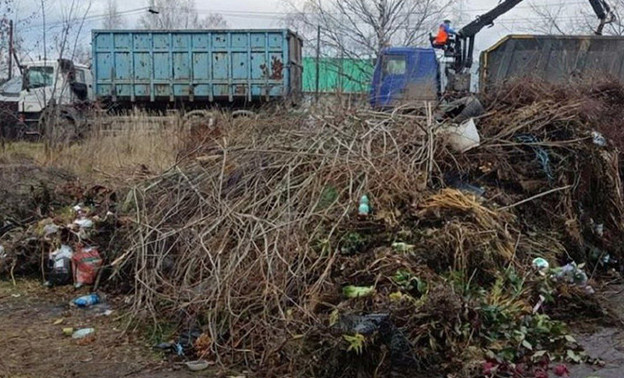 Как правильно избавиться от сухих веток?