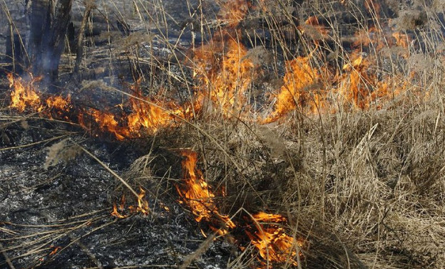 За прошедшие сутки в Кировской области пожарные тушили горящую траву восемь раз