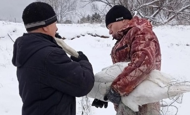 В Афанасьевском районе спасли лебедя, который застрял во льдах