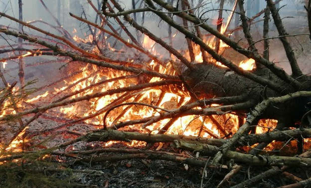 В лесу Опаринского района произошёл пожар