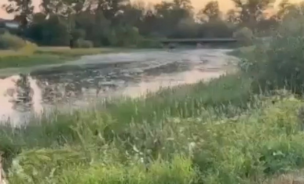 В Кумёнском районе выявили загрязнение реки