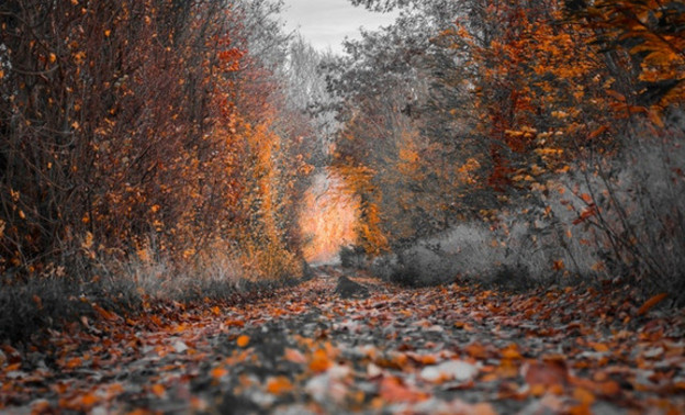 Конец октября в Кировской области порадует тёплой и сухой погодой