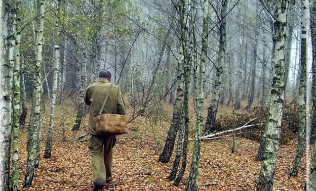 В Кировской области разыскивают пропавшего в лесу 86-летнего пенсионера