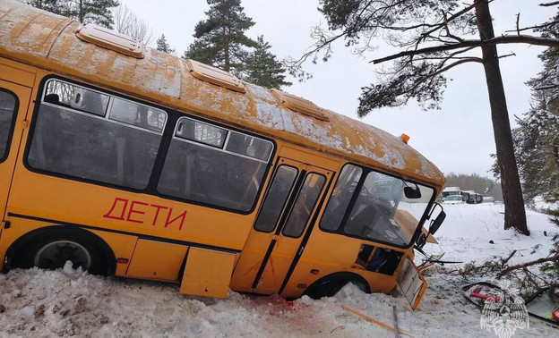 В Псковской области школьный автобус попал в ДТП, пострадали 17 человек