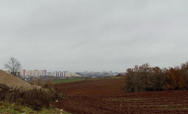 В Кировской области увеличили урожай овощей на 33%