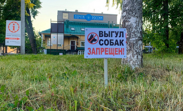 Где в Кирове можно выгуливать домашних животных?