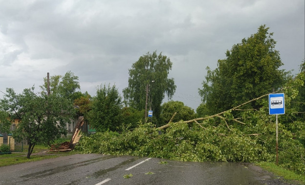 В Котельничском районе ветер повалил деревья на кладбище и сорвал крыши с домов