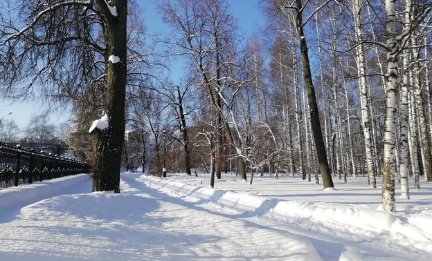 Синоптики рассказали, когда в Кировской области морозы сменятся снегопадами