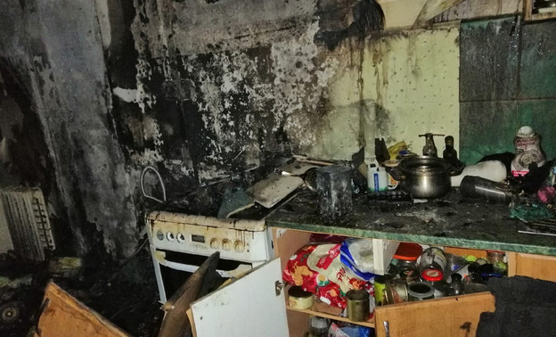 В Кирово-Чепецке во время пожара в квартире погибли 12 кошек