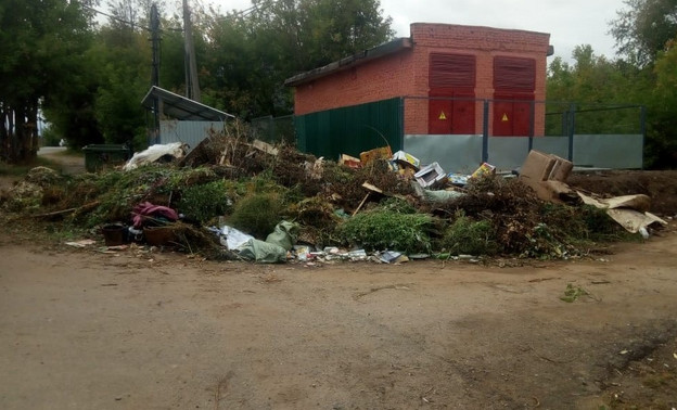 В Нововятском районе ликвидировали 6 стихийных свалок