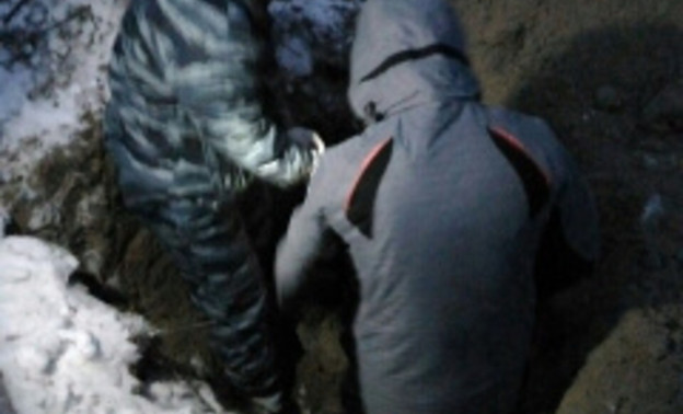 На берегу реки в Белой Холунице нашли скелет мужчины, убитого в 2016 году