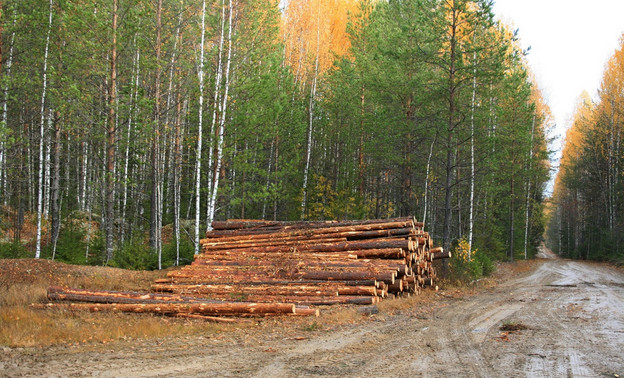 В Кировской области крупные лесопромышленники будут объединяться