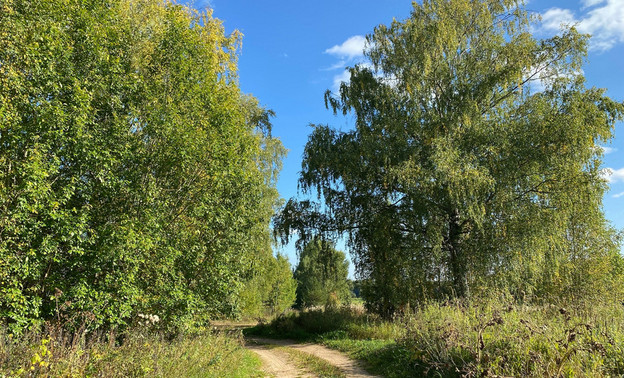 В Кирове с помощью беспилотника нашли заблудившегося грибника