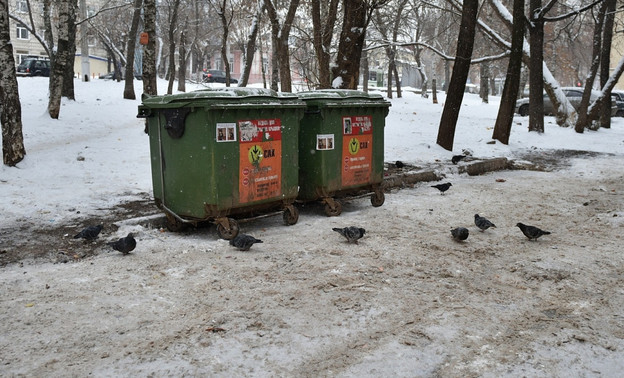 Новую схему вывоза мусора начнут внедрять в Кирове с декабря