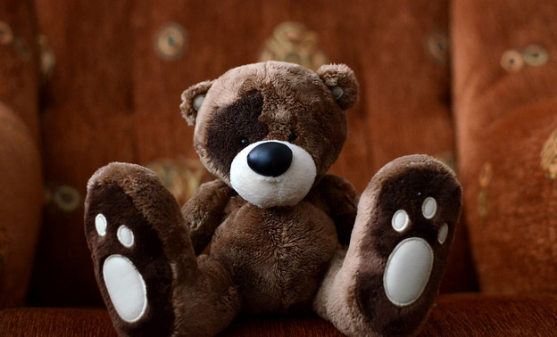 Кировчанина обманули на 40 тысяч рублей при покупке плюшевого медведя