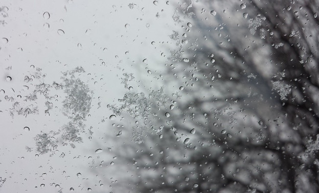 Погода в Кирове. В четверг ожидается мокрый снег